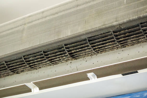 Best Dryer Vent Cleaning Services  in Hebron, NE